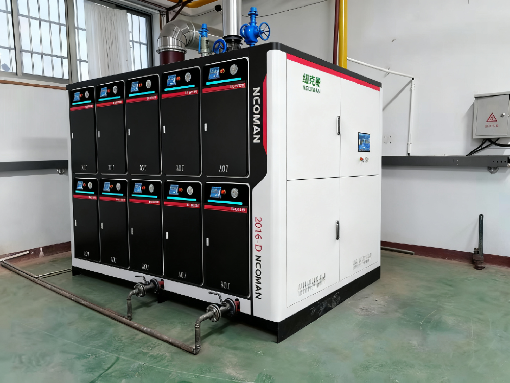 中国十大蒸汽发生器品牌推荐 纽克曼值得选